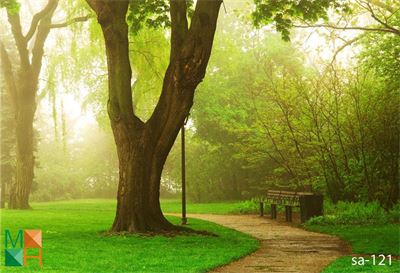  Tranh dán tường 3D Art Pix landscape Nhật Bản
